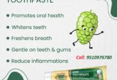 Apollo Noni With Aloevera Complete Oral Care Herbal Toothpaste