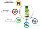 GEO Natural Panch Tulsi: Concentrated Extract Drops of 5 Rare Tulsi for Natural Immunity Boosting & Cough and Cold Relief